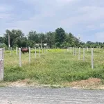 Bán đất Tây Ninh 155m² 229 triệu Dương Minh Châu - Ảnh thu nhỏ 2