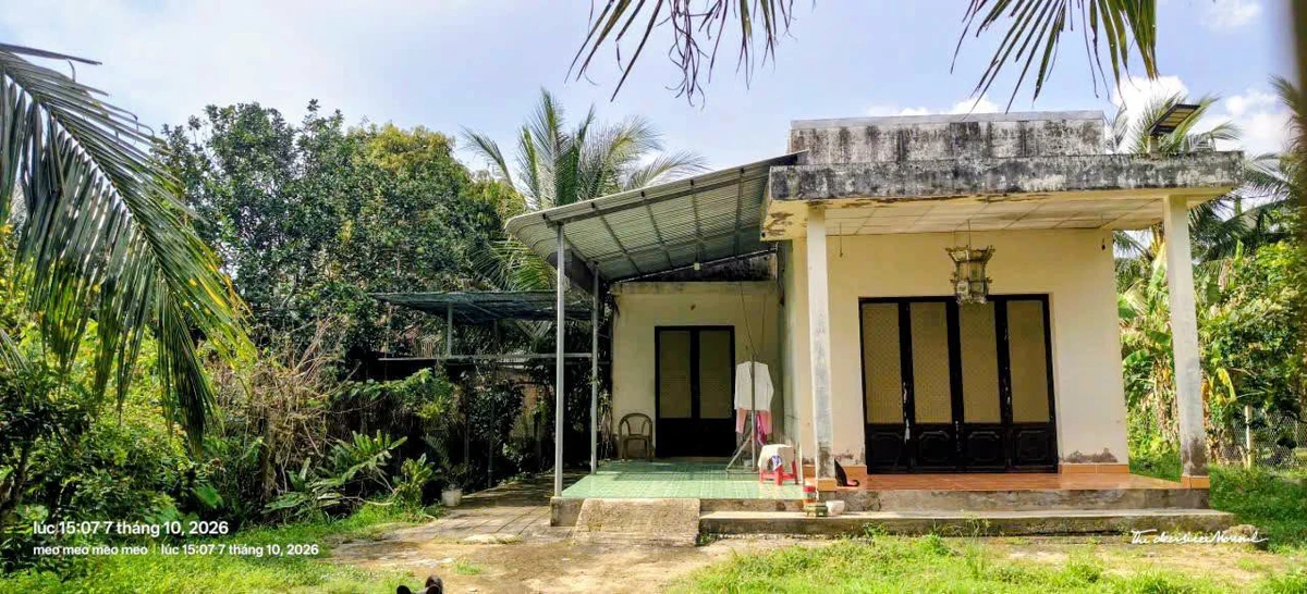 Bán nhà và đất 1000m2 tại Xã Tân Thạch, Tiền Giang 750 triệu - Ảnh thu nhỏ 4