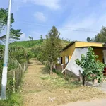 Bán đất mặt tiền Liên Xã Khánh Hòa 310m2 220 triệu - Ảnh thu nhỏ 1