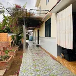 Bán nhà trọ 8 phòng + nhà ở 3PN tại Phú Túc, 1700m² - Ảnh thu nhỏ 4