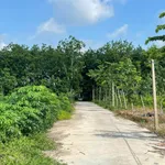 Bán đất nền Minh Long 100m² giá 350 triệu - Ảnh thu nhỏ 4