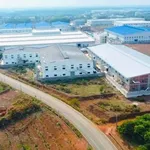 Bán đất sào thổ cư Đồng Xoài 4300m2 hơn 300 triệu/sào - Ảnh thu nhỏ 2