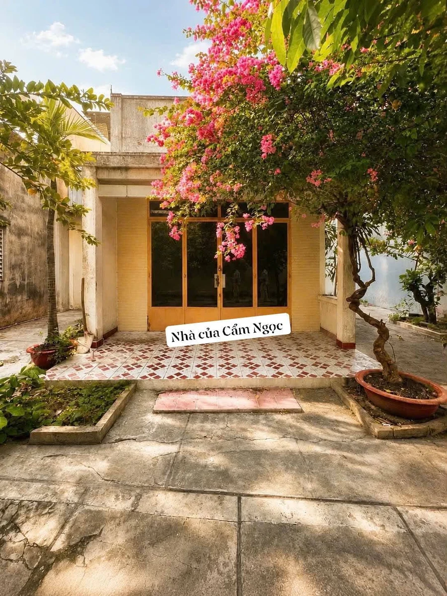 Bán đất 220m2 ngang 10.2m có nhà cấp 4 tại Gò Vấp giá 15,5 tỷ - Ảnh 1