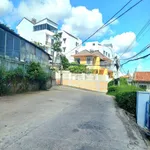 665m2 ngang 22m| góc 2 mặt tiền Trạng Trình Đà Lạt| cách hồ Xuân Hương 1 km - Ảnh thu nhỏ 2