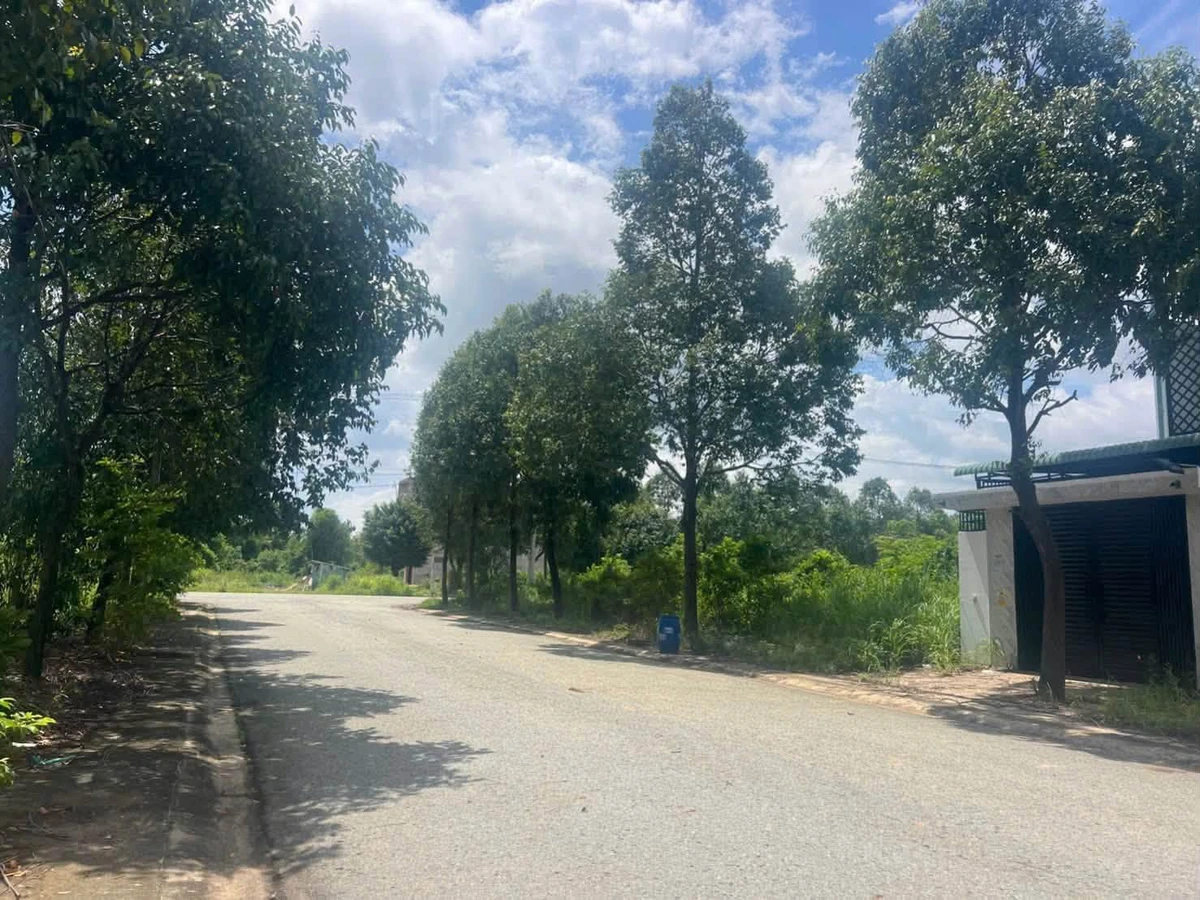 Bán 300m2 đất thổ cư đường N9 KCN Mỹ Phước 4, gần QL13, Bình Dương, giá 3 tỷ - Ảnh thu nhỏ 2