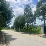 Bán 300m2 đất thổ cư đường N9 KCN Mỹ Phước 4, gần QL13, Bình Dương, giá 3 tỷ - Ảnh thu nhỏ 2