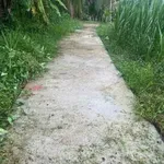 Đất nền bán 175 triệu tại Xã Thới Lai, Bình Đại, Bến Tre, 156m² - Ảnh thu nhỏ 1