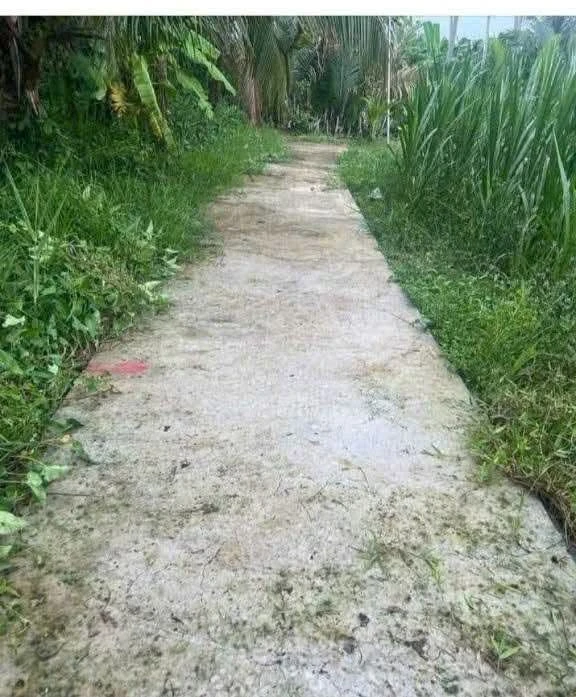 Đất nền bán 175 triệu tại Xã Thới Lai, Bình Đại, Bến Tre, 156m² - Ảnh 1