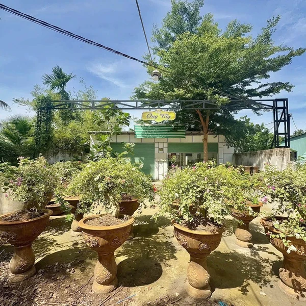 Bán nhà Phú Hưng, Bến Tre, 745m, 2 tỷ 200 triệu