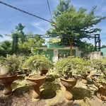 Bán nhà Phú Hưng, Bến Tre, 745m, 2 tỷ 200 triệu - Ảnh thu nhỏ 1