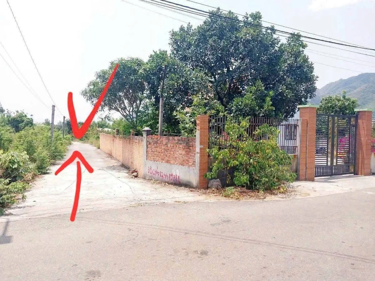 Bán đất 800m2 Bà Rịa Vũng Tàu 1,59 tỷ - Ảnh thu nhỏ 4