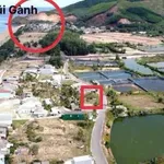 Bán đất gốc sát biển 100m² Hoài Hải Bình Định 780 triệu - Ảnh thu nhỏ 2