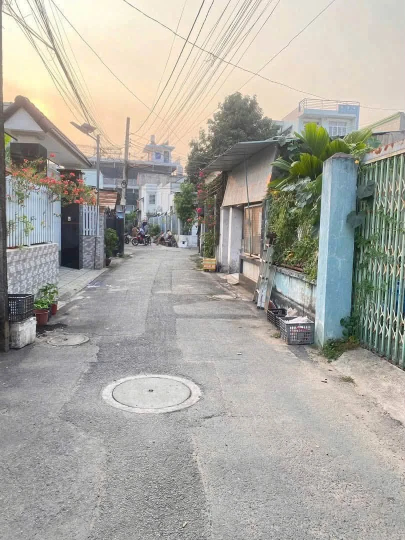 Bán đất Phú Hoà 339m² gần Đại học Thủ Dầu Một - 7,9 tỷ - Ảnh thu nhỏ 3