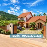 Bán đất view đồi thông Nam Ban Đà Lạt 350m² - Ảnh thu nhỏ 1