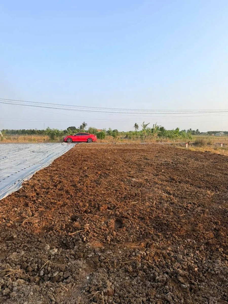 Bán đất mặt tiền 135m² Bến Lức, Long An giá 890 triệu - Ảnh thu nhỏ 2