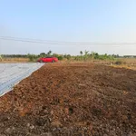 Bán đất mặt tiền 135m² Bến Lức, Long An giá 890 triệu - Ảnh thu nhỏ 2
