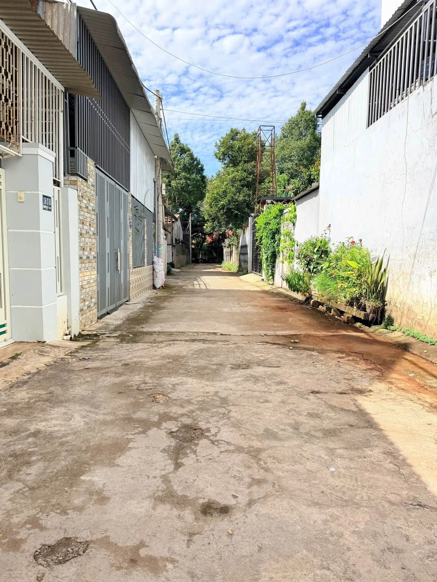 Bán đất 8x29m (232m²) Nguyễn Chí Thanh, Tân An, Đắk Lắk 5,45 tỷ - Ảnh thu nhỏ 2