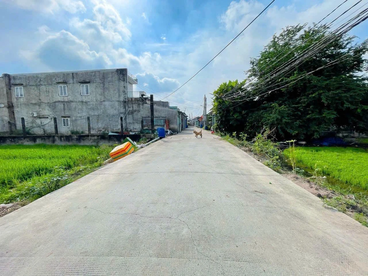 Bán đất nền 135m² Đức Hòa, Long An - Ảnh thu nhỏ 2