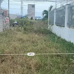 Bán đất 137m2 mặt tiền Hàm Liêm kinh doanh 1 tỷ 3 - Ảnh thu nhỏ 3