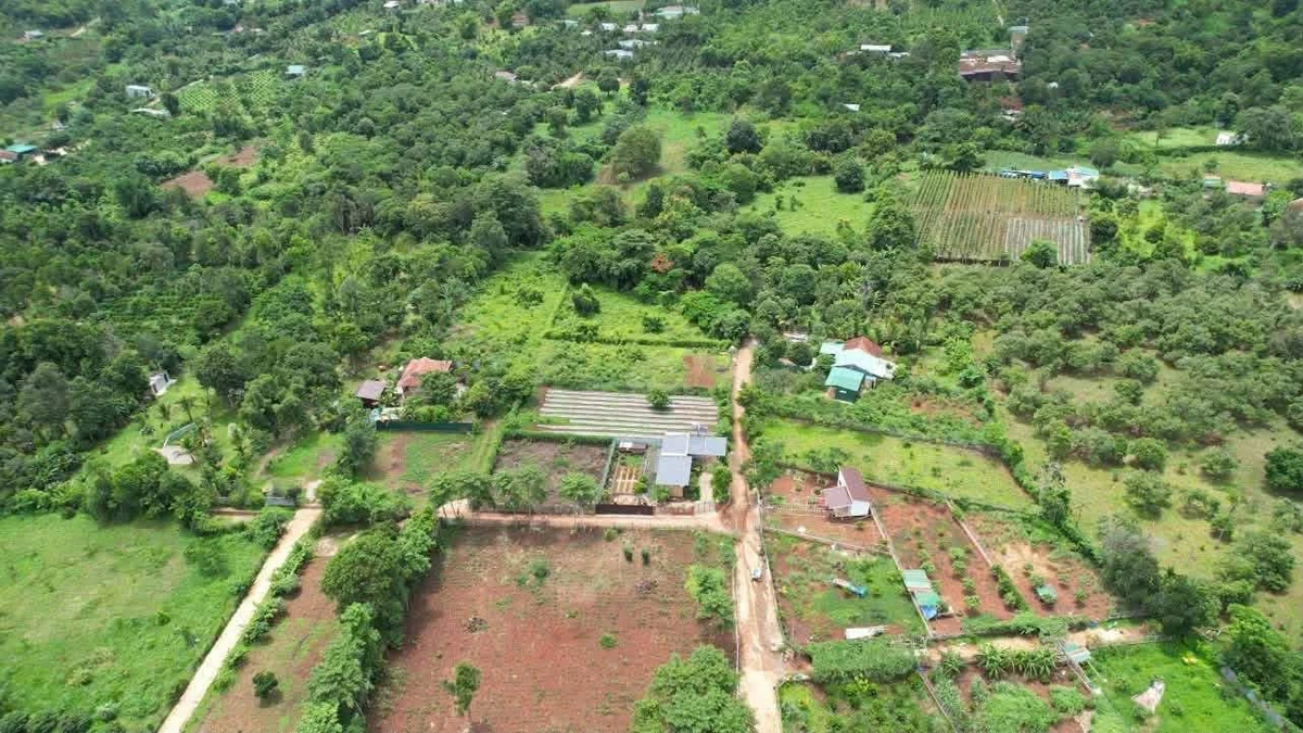 Bán đất nền 1600m² mặt tiền đường 19/5, 3,9 tỷ - Ảnh thu nhỏ 2