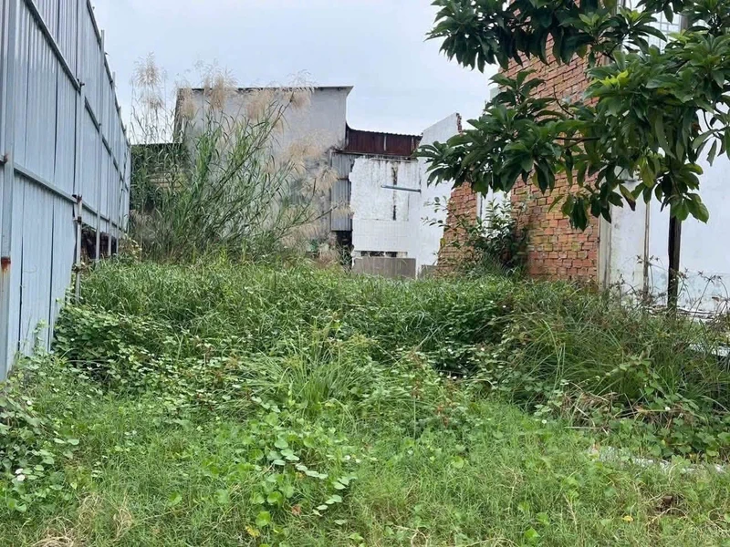 Bán đất thổ 172m2 (9.3x16.3) xã Tân Quý Tây, Bình Chánh, giá 3 tỷ