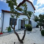 Bán nhà phố hiện đại 415m2, 3 phòng ngủ, full nội thất tại Hòa Phú, Tây Ninh - Ảnh thu nhỏ 4