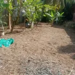 Bán đất mặt tiền Lương Hòa 737m² Bình Chánh - Ảnh thu nhỏ 3