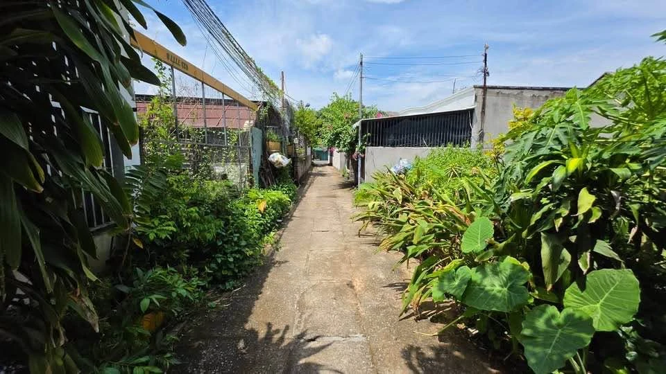 Bán 2 sổ liền kề 200m² Đại Nẫm, Hóc Môn 1 tỷ 850 triệu - Ảnh thu nhỏ 3