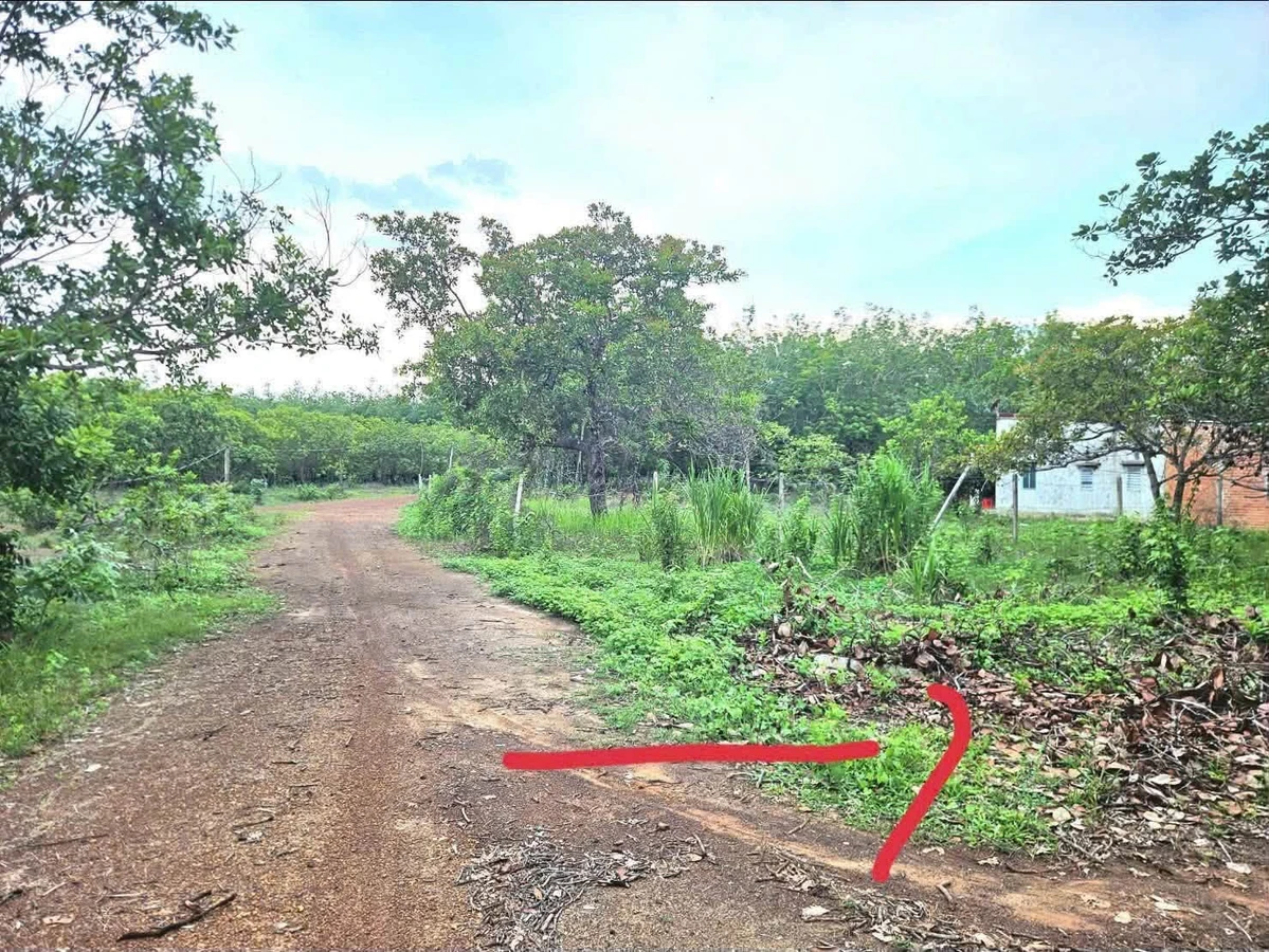 Bán đất 1000m2 Hớn Quản Hóc Môn giá 100 triệu - Ảnh thu nhỏ 2