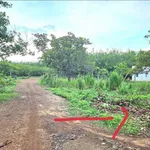 Bán đất 1000m2 Hớn Quản Hóc Môn giá 100 triệu - Ảnh thu nhỏ 2