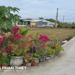 Bán đất 1.000 m² quy hoạch thổ cư, Kim Bình, Phan Thiết - Ảnh thu nhỏ 4