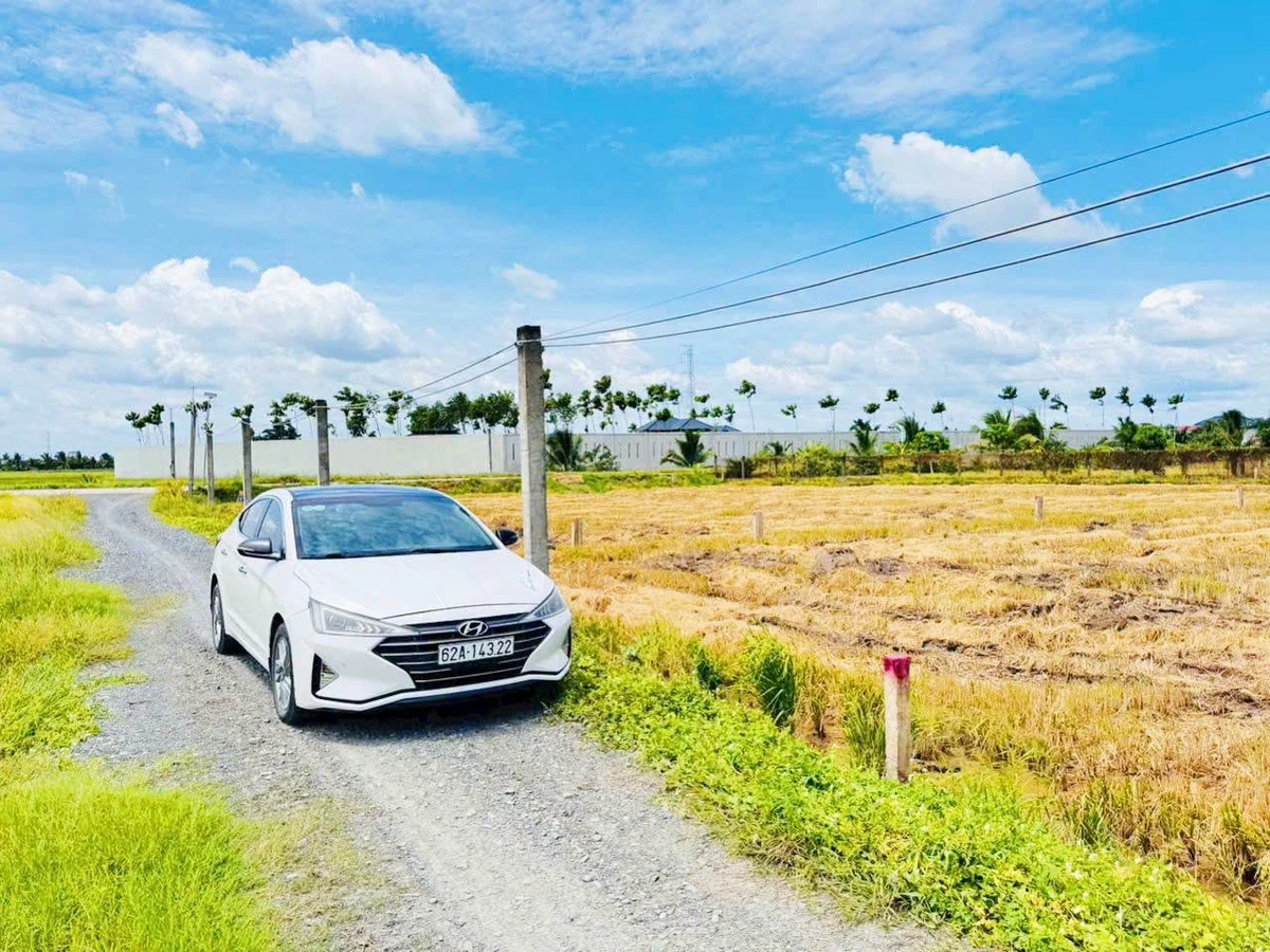 Bán đất 1.000m2 thổ cư tại Lạc Tấn, Tân Trụ, Long An - Ảnh 1