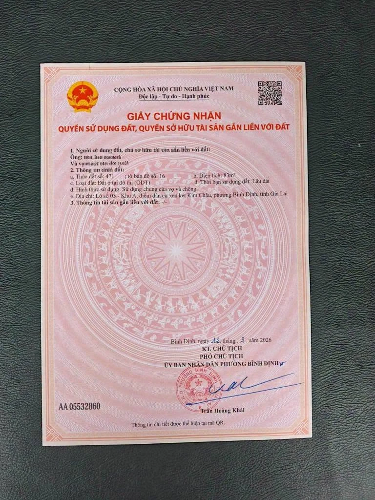 Bán đất Bình Định 83m2, giá 1 tỷ, gần chợ trường học - Ảnh thu nhỏ 4