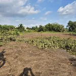 Bán đất thổ cư 1000m2 mặt tiền, Cần Đước, Long An - Ảnh thu nhỏ 1