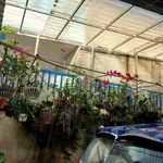 Bán nhà cấp 4 Long Điền 102.8m2, 2PN, 1.7 tỷ - Ảnh thu nhỏ 3