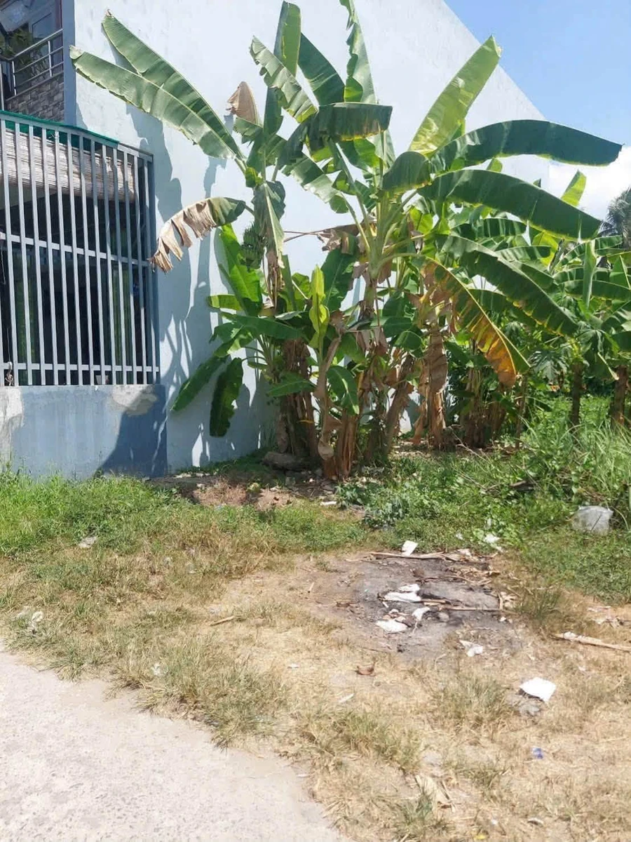 Bán đất 93m2 phường An Hội Cần Giờ 550 triệu - Ảnh thu nhỏ 3