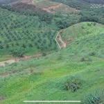 Bán 5,5 ha đất sầu riêng Mỹ Đức 4 tỷ - Ảnh thu nhỏ 3