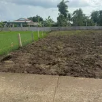 Bán đất thổ cư Tây Ninh 145m² sổ hồng riêng - Ảnh thu nhỏ 2