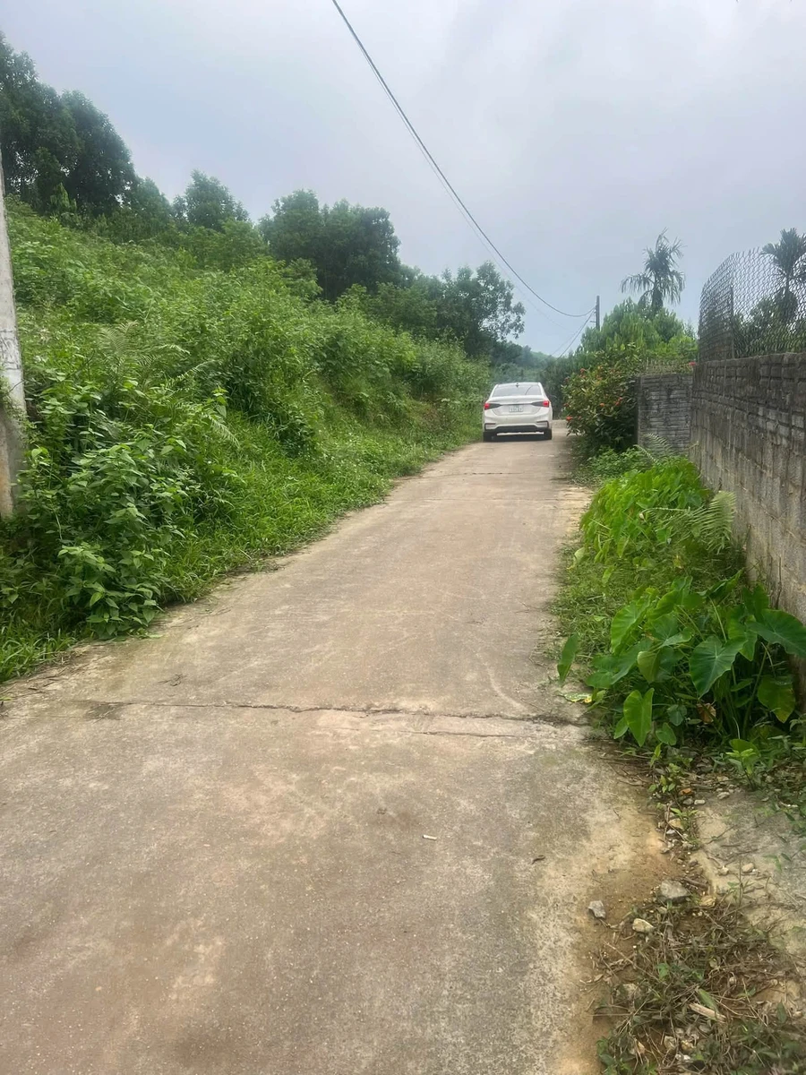 Bán đất Hưng Long Yên Lập 1000m2, giá 300 triệu - Ảnh 1