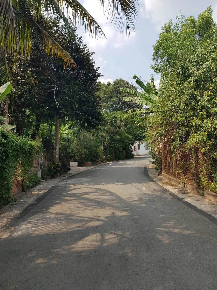 Bán đất 5,2x18,61m, 60m2 thổ cư, Tương Bình Hiệp, Thủ Dầu Một, Bình Dương, giá 1,78 tỷ - Ảnh 1