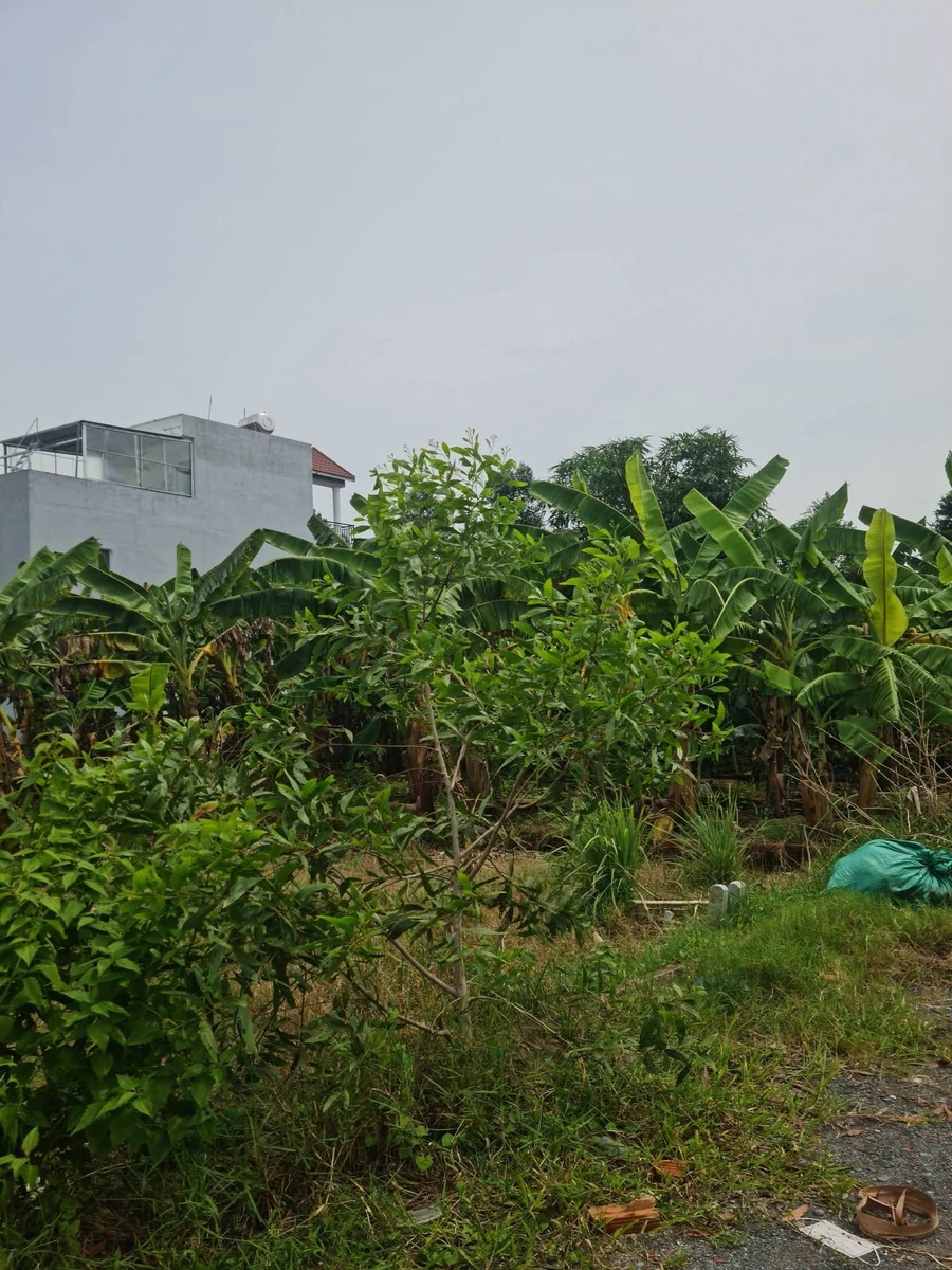Bán đất thổ cư 100m² đường 10m, xã Thạnh Lợi, Tây Ninh, giá 1,5 tỷ - Ảnh thu nhỏ 4
