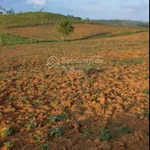 3300m2 cao nguyên Vân Hoà có 200m2 thổ cư mặt tiền ĐT 643 dài 60m đất view cao đẹp giá 1.8 tỷ - Ảnh thu nhỏ 9