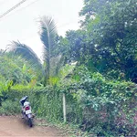 Bán 2000m² đất Trạng Bom Đồng Nai giá 1 tỷ 9 - Ảnh thu nhỏ 2