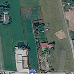 Bán 1800m2 đất lúa mặt tiền Phước Tuy, Cần Đước, Long An - Ảnh thu nhỏ 2