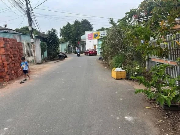Bán đất mặt tiền Đường Số 67 Hoà Long 130m² Cần Giờ - Ảnh 1