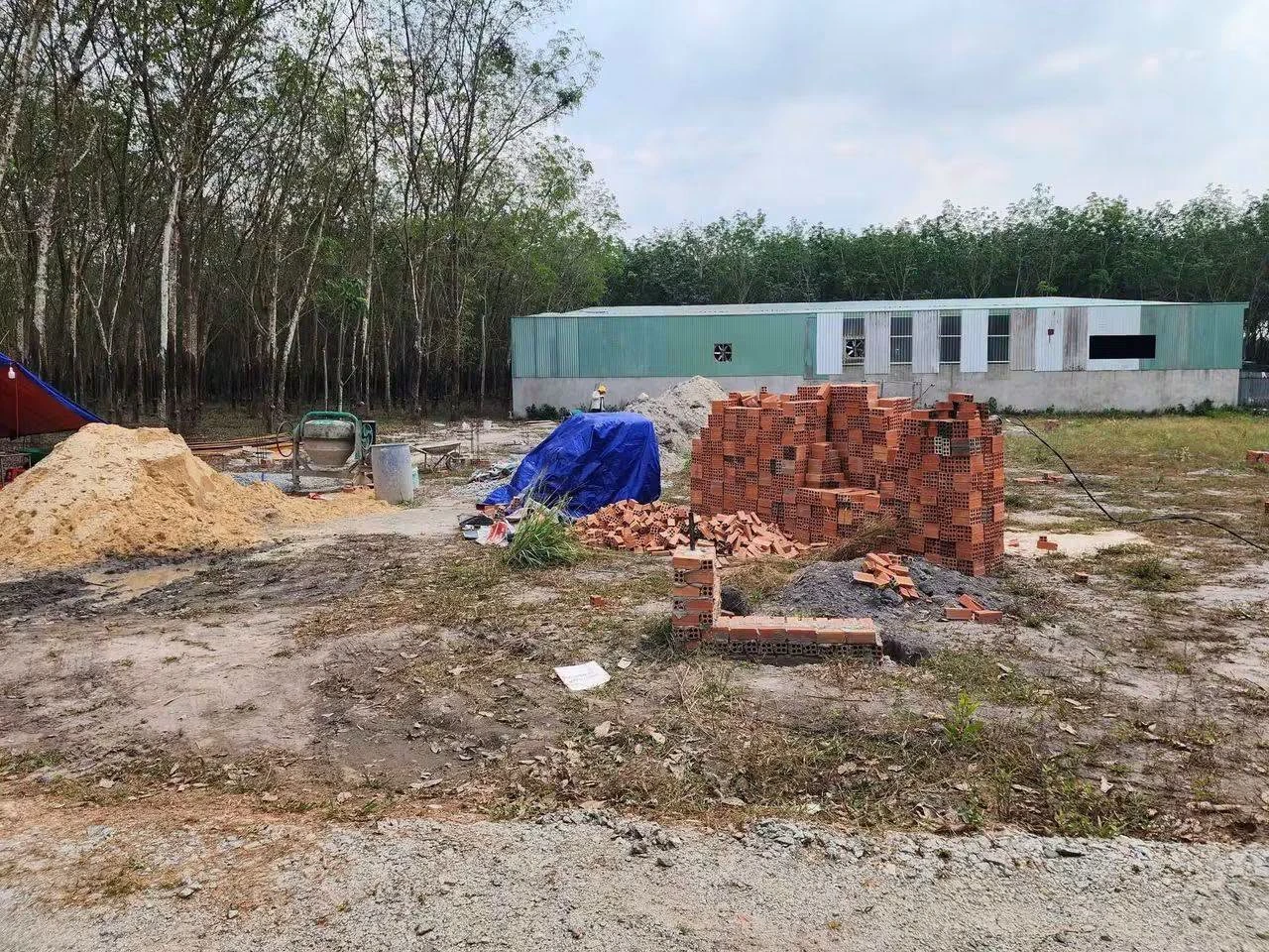 Bán lô đất 160m² thổ cư Bàu Bàng 1,5 tỷ - Ảnh 1