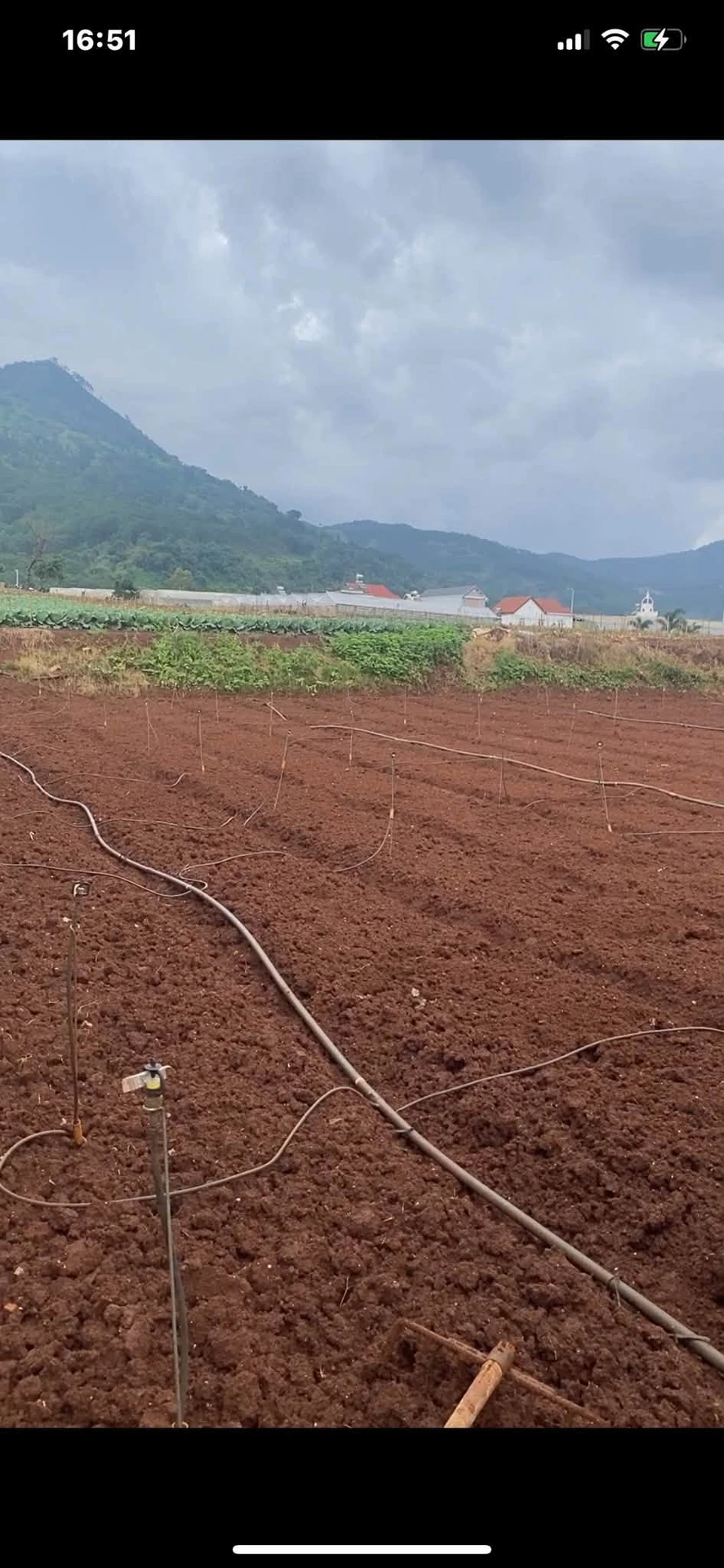 Bán lô đất Dức Trọng 1000m², Nhà Bè 2.8 tỷ - Ảnh 1