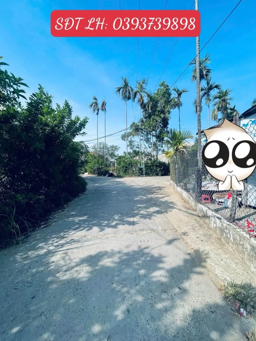 Bán nhà vườn 4 phòng 820m2 Nghĩa Dõng sát Phú Mỹ - Ảnh thu nhỏ 2