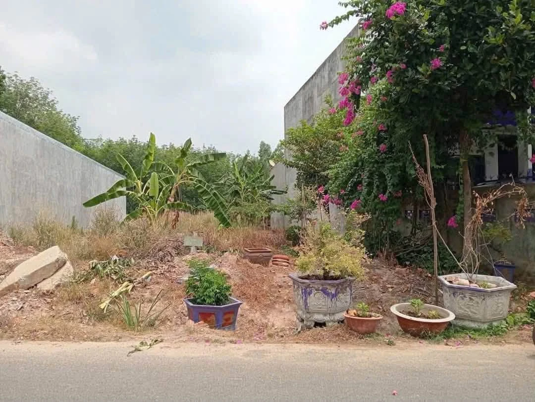 Bán lô đất 15x83m có 300m thổ cư tại An Điền, Bến Cát, Bình Dương giá 5,6 tỷ - Ảnh 1