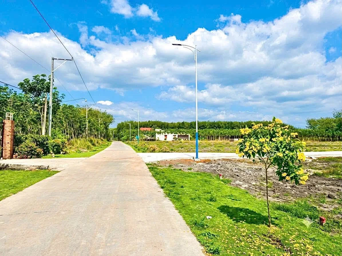 Bán đất Phường Minh Hưng 50m2 mặt tiền 3xx triệu - Ảnh thu nhỏ 3